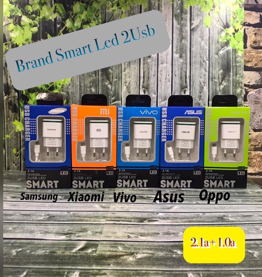 TRAVEL CHARGER BRAND SMART LED 2USB
